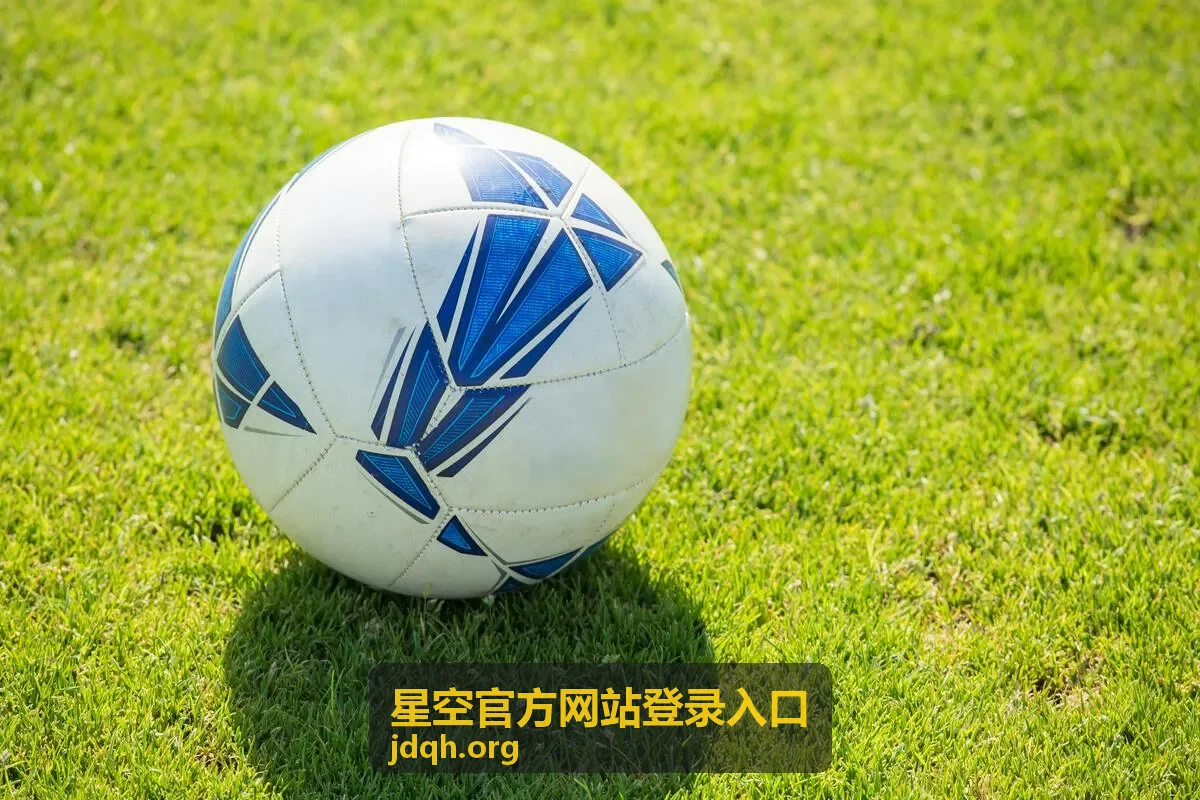 星空官方网站登录入口在桌面浏览器中的登录界面布局